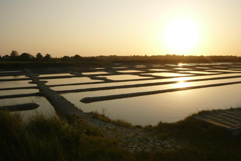 Marais Salants à Guérande