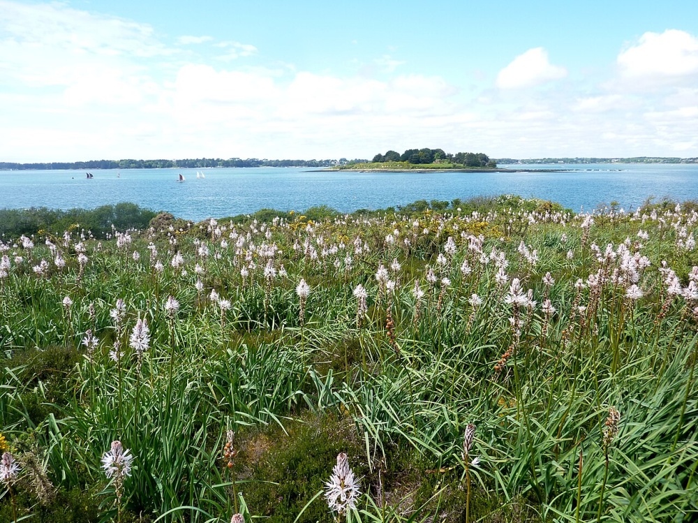 Île-aux-Moines Dimanche