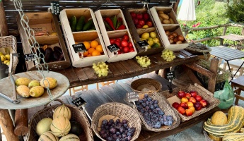 Marché des Lices à Vannes : ambiance et producteurs