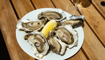 Huîtres et fruits de mer face au Golfe du Morbihan