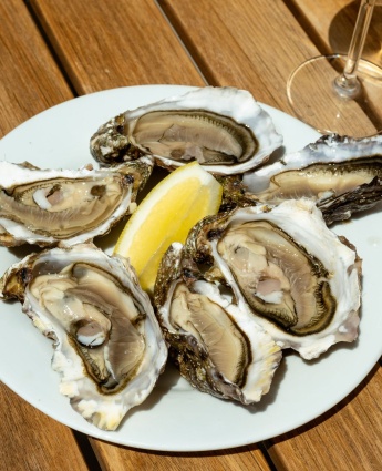 Huîtres et fruits de mer face au Golfe du Morbihan