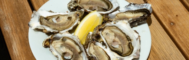 Huîtres et fruits de mer face au Golfe du Morbihan