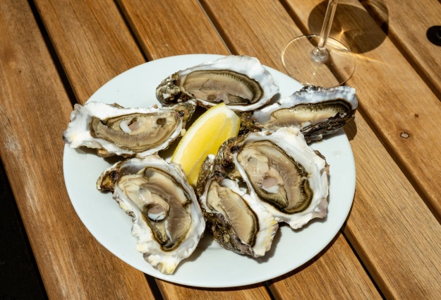 Huîtres et fruits de mer face au Golfe du Morbihan