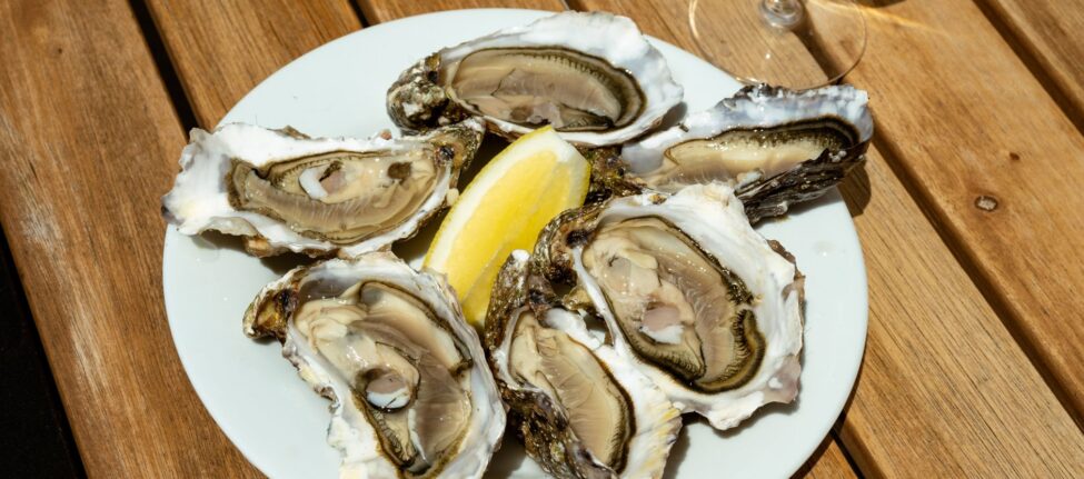 Huîtres et fruits de mer face au Golfe du Morbihan